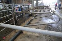 10 STAND ALONE COW CUBICLES - 7