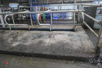 10 STAND ALONE COW CUBICLES - 8