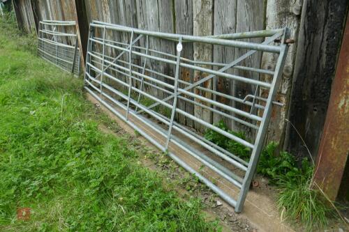 2 X 12' FIELD GATES