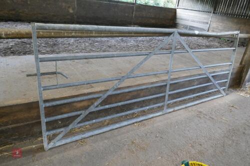 10' GALVANISED GATE