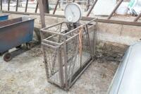 WEIGHMASTER PIG WEIGH CRATE - 4