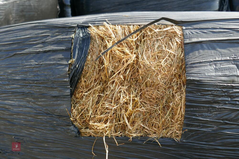 50 RECTANGULAR BALES OF HAYLAGE (PER BALE)