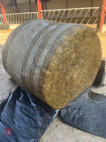 60 ROUND BALES OF SILAGE (PER BALE)