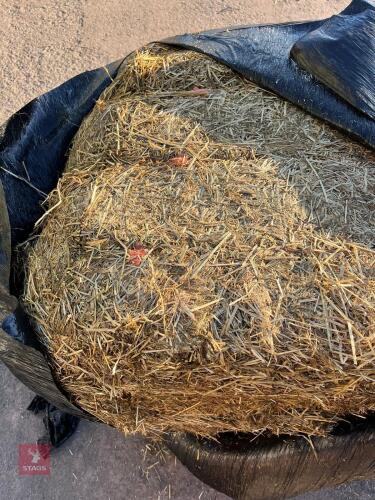 60 SQUARE BALES OF HAYLAGE (PER BALE)