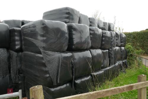 54 SQUARE BALES OF HAYLAGE (PER BALE)