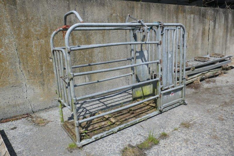 IAE GALVANISED CATTLE CRUSH