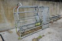 IAE GALVANISED CATTLE CRUSH