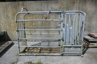 IAE GALVANISED CATTLE CRUSH - 3