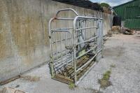 IAE GALVANISED CATTLE CRUSH - 4