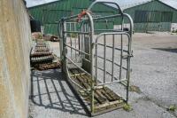 IAE GALVANISED CATTLE CRUSH - 5