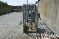 IAE GALVANISED CATTLE CRUSH - 7