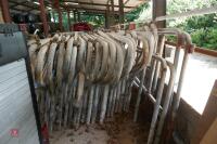 32 MUSHROOM GALVANISED COW CUBICLES - 2