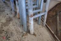 32 MUSHROOM GALVANISED COW CUBICLES - 3