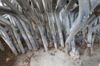 32 MUSHROOM GALVANISED COW CUBICLES - 5