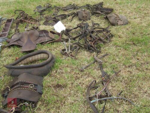 VINTAGE HORSE TACK