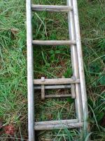 EXTENDING ALUMINIUM LADDER - 3