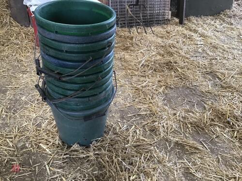 10 CALF BUCKETS