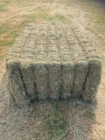 50 RECTANGULAR BALES OF HAY (PER BALE) - 2