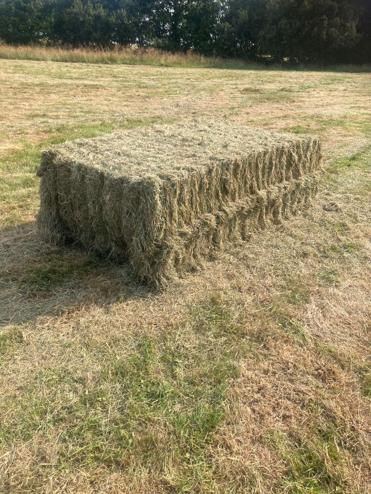 50 RECTANGULAR BALES OF HAY (PER BALE)