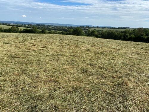 25 BALES OF MEADOW HAY (BIDS PER BALE)