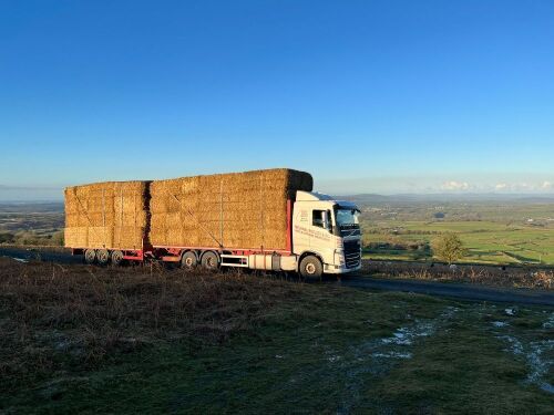 25T OF WHEAT STRAW (BIDS PER TONNE)