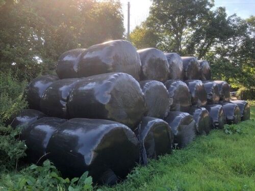 56 ROUND BALES OF ORGANIC SILAGE (PER BALE)