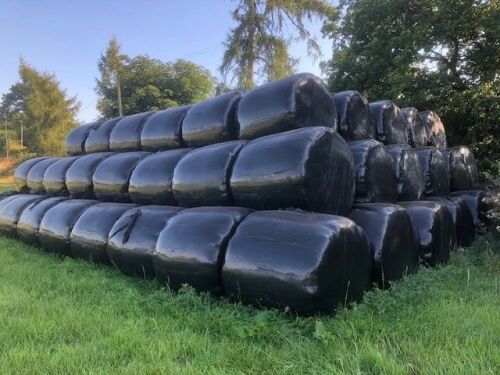 141 ROUND BALES OF ORGANIC SILAGE (PER BALE)