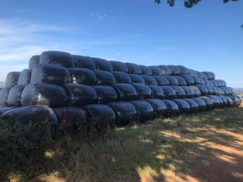65 ROUND BALES OF ORGANIC SILAGE (PER BALE)
