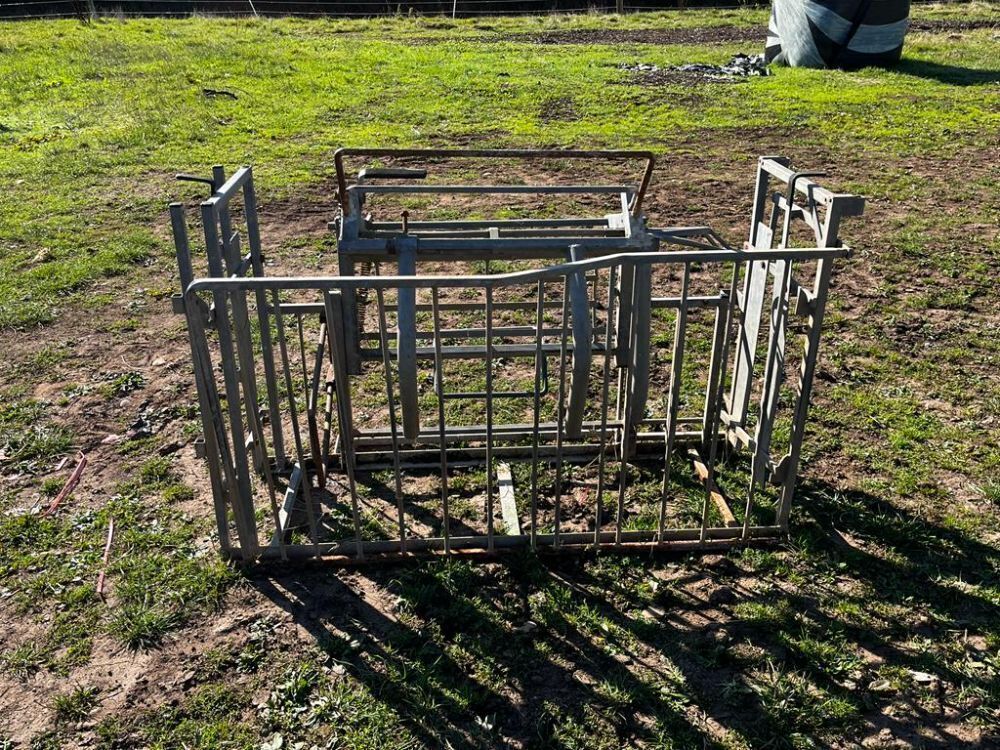 SHEEP TURNOVER CRATE