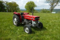 MASSEY FERGUSON 135 2WD TRACTOR - 31