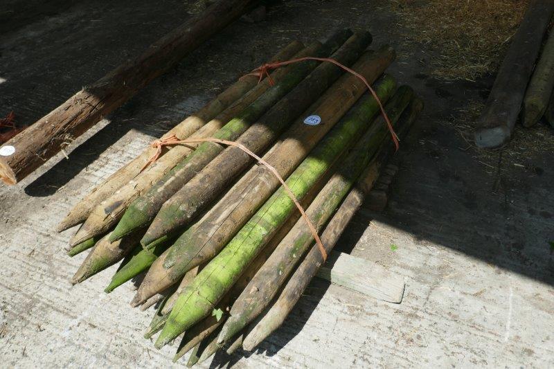 37 WOODEN FENCING STAKES