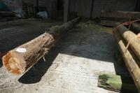 TELEGRAPH POLE - 3