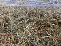 22 X ROUND BALES OF HAY (BIDS PER BALE) - 2