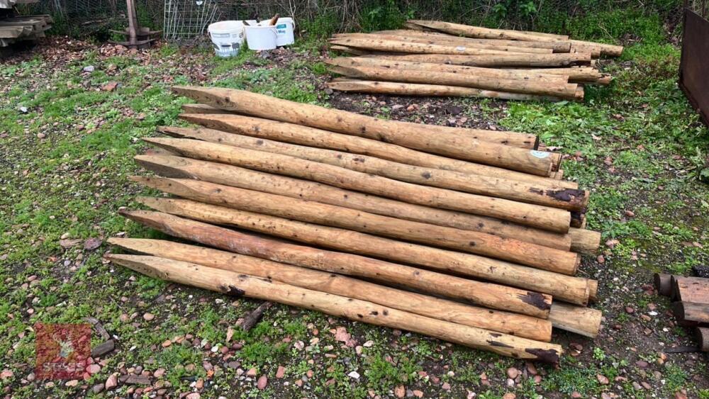 50 WOODEN STAKES