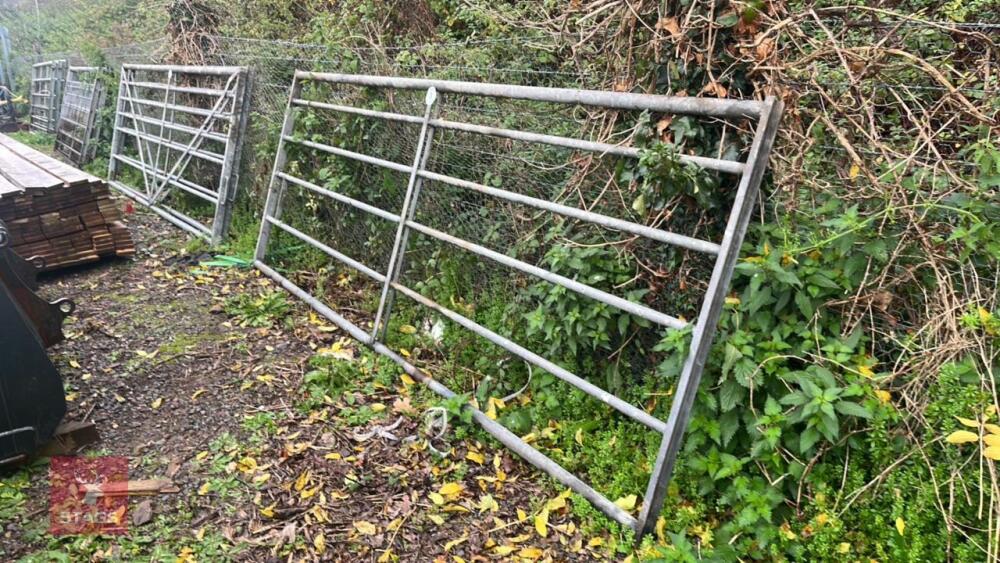 10FT GALV YARD GATE