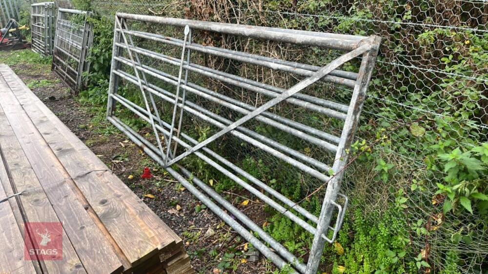 2 X 10FT FIELD GATE