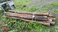 10 X APPROX 9FT POSTS - 5