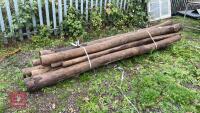 10 X APPROX 9FT POSTS - 6