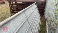 8FT SHEETED GATE - 3