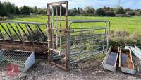 2 X 8' CATTLE HURDLES & FRONT GATE