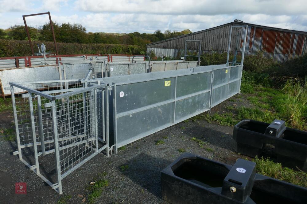 IAE GALVANISED SHEEP HANDING SYSTEM