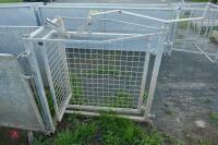 GALVANISED SHEEP HANDLING SYSTEM - 5