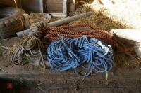 LARGE QTY OF ROPE