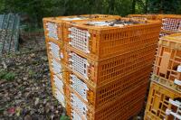 10 PLASTIC POULTRY/GAMEBIRD CRATES - 3