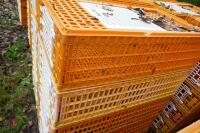 10 PLASTIC POULTRY/GAMEBIRD CRATES - 2