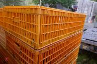 10 PLASTIC POULTRY/GAMEBIRD CRATES - 5