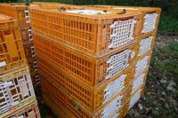 10 PLASTIC POULTRY/GAMEBIRD CRATES - 3