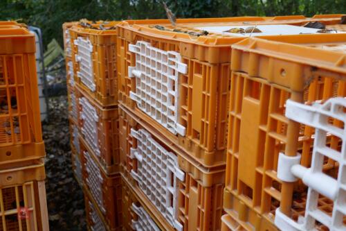 10 PLASTIC POULTRY/GAMEBIRD CRATES