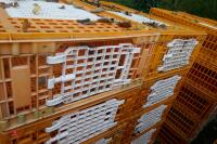 10 PLASTIC POULTRY/GAMEBIRD CRATES - 5