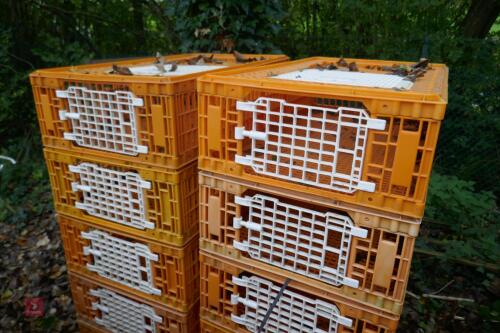 10 PLASTIC POULTRY/GAMEBIRD CRATES